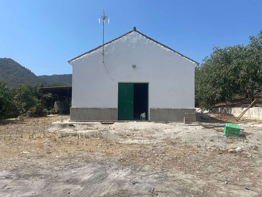 Propiedad con aguacates en Coín