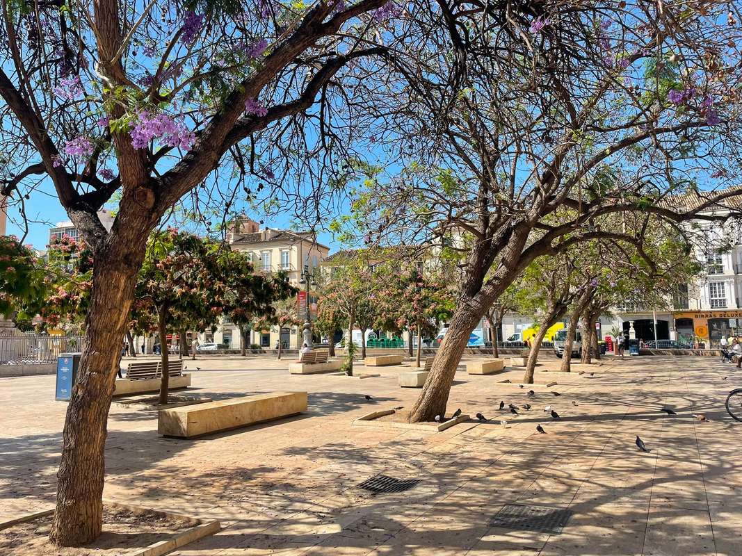 Adosado en el corazón de Málaga